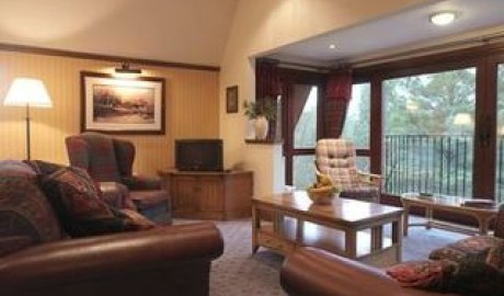Accessible City Hotel image
