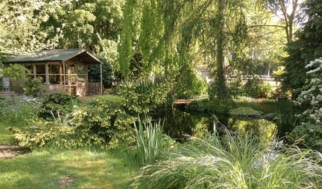 Accessible Countryside Cottage image