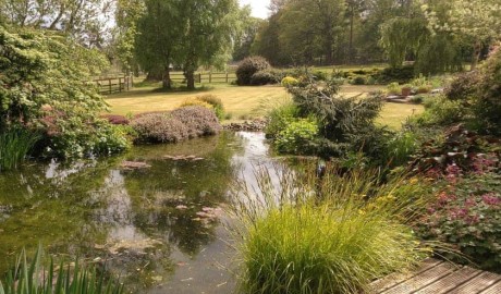 Accessible Countryside Cottage image