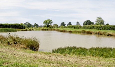 Accessible Country Cottage image