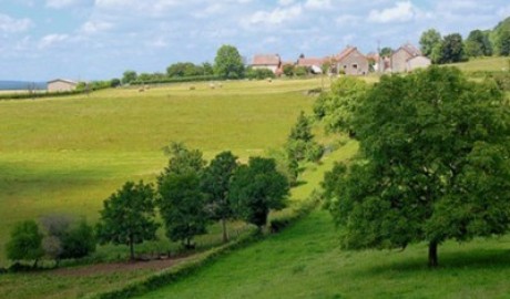 Accessible scenic room in rural Burgundy image