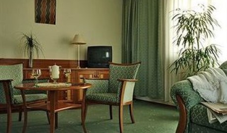 Supported Holiday - Spa Hotel image