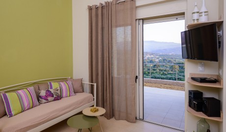 Accessible Suite Apartments image