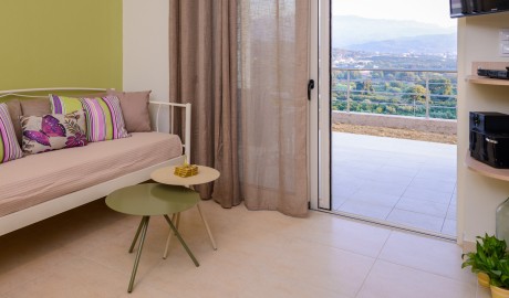 Accessible Suite Apartments image