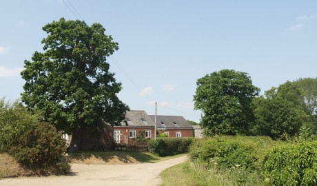 Accessible Country Cottage image