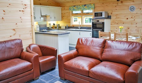 Accessible Pet Friendly Lodge image