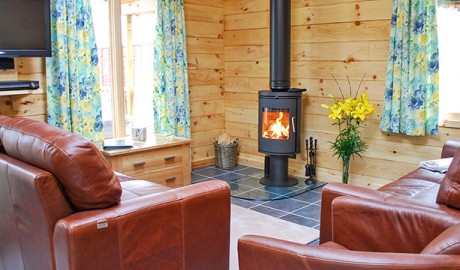 Accessible Pet Friendly Lodge image
