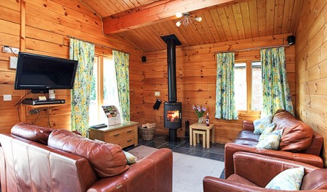 Accessible Pet Friendly Lodge image