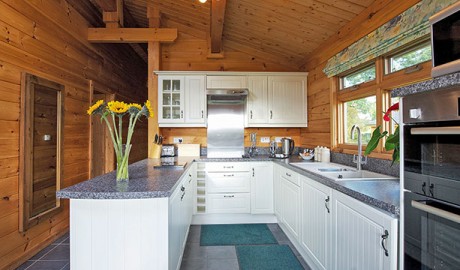 Accessible Pet Friendly Lodge image