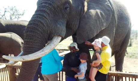 Family Adventures Safari holiday image