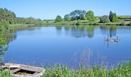 Lakeside Lodge image