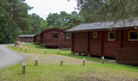 Accessible Lodge, Outdoor Activity Centre image