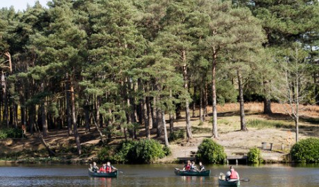 Accessible Lodge, Outdoor Activity Centre image