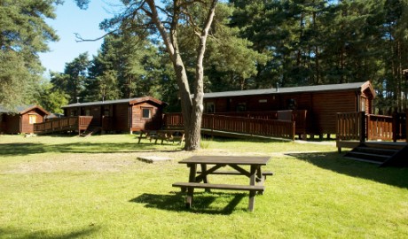 Accessible Lodge, Outdoor Activity Centre image