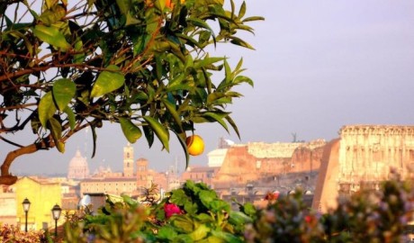 Charming city hotel image
