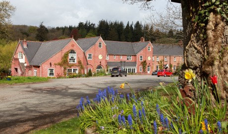Country Hotel image