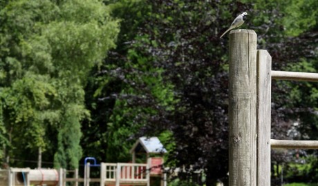 Accessible Family Holiday park image