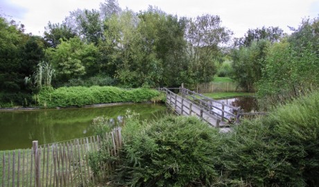 Harbour view park image