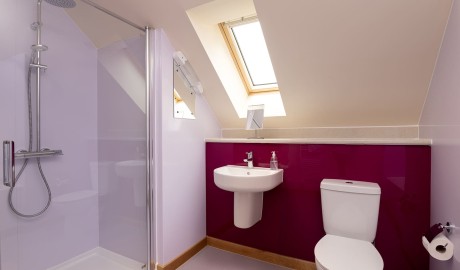 Accessible Lodge - 3 bed image