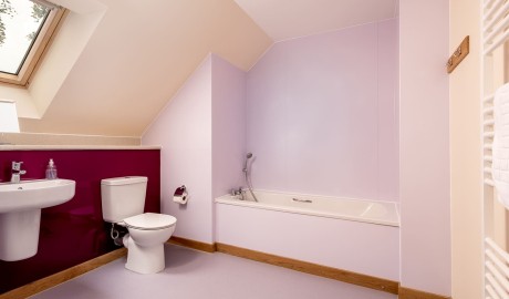 Accessible Lodge - 3 bed image