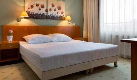Accessible Hotel with Spa image