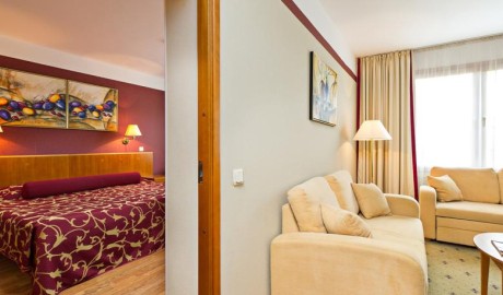 Accessible Hotel with Spa image