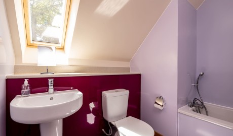 Accessible Woodland Lodge - 3 bedrooms image
