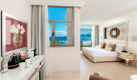 Accessible Beach Hotel image