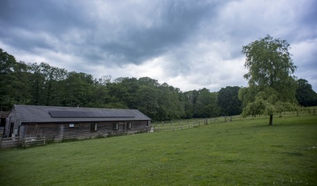fields