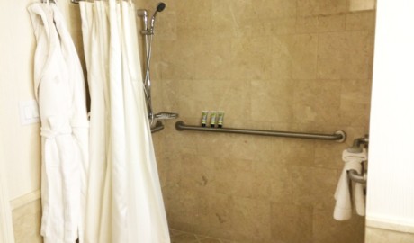 Accessible Luxury Spa Hotel image