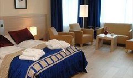 Stylish City Hotel image