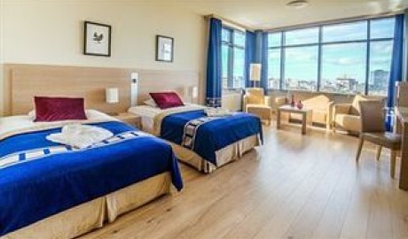 Stylish City Hotel image