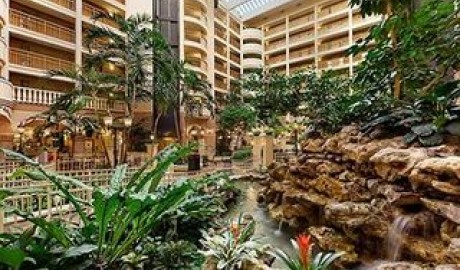 Luxurious Hotel image