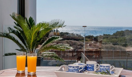 Luxurious Greek Villa image
