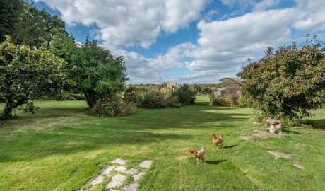Wildlife Treasure Cottage image