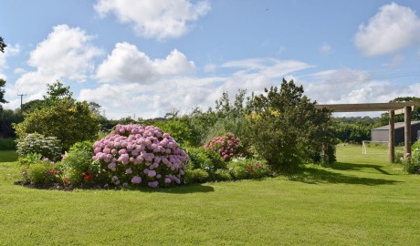Wildlife Treasure Cottage image
