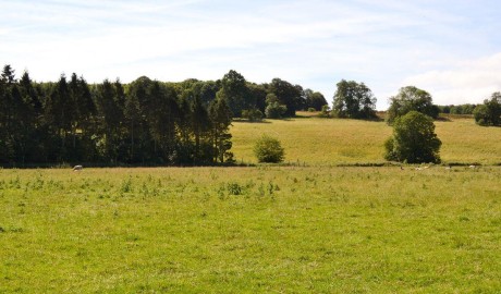Countryside Cottage image