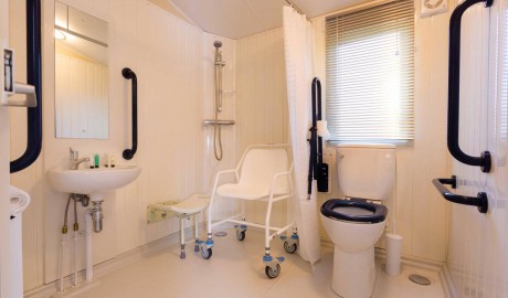 Accessible Caravan,  Newby Bridge image