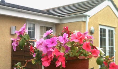 Accessible cottage 2, near Southport image