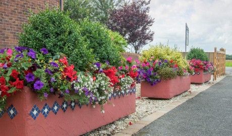Coastal Bungalow image