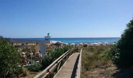 The Accessible beach hotel image