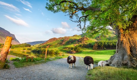 Classic Lake District - Coach holiday image