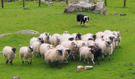 Classic Lake District - Coach holiday image
