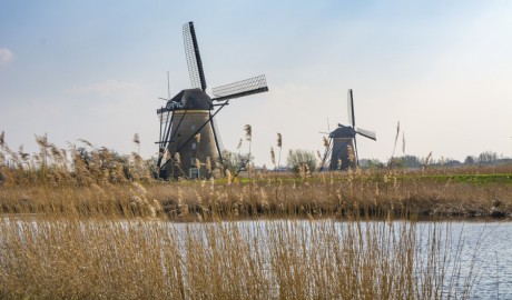 Best of the Netherlands image