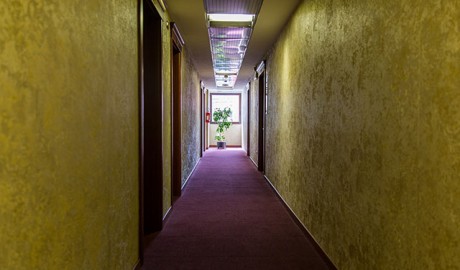 Hotel Palace image