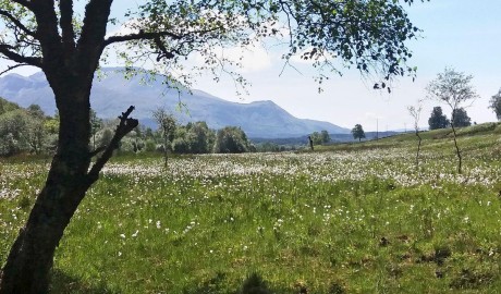 Accessible lodge in Glen Roy, near Fort William image