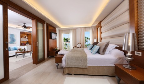 Luxury Suite Resort image