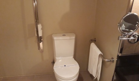 Accessible Spa Hotel image