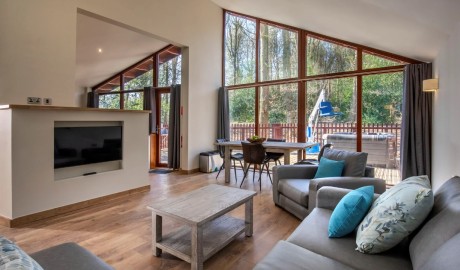Accessible Lodge with Hot Tub and Hoist image