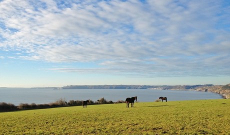 Coastal Accessible Barn image